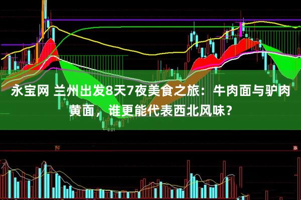 永宝网 兰州出发8天7夜美食之旅：牛肉面与驴肉黄面，谁更能代表西北风味？