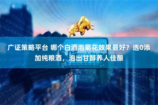广证策略平台 哪个白酒泡菊花效果最好?选0添加纯粮酒,泡出甘醇养人佳酿